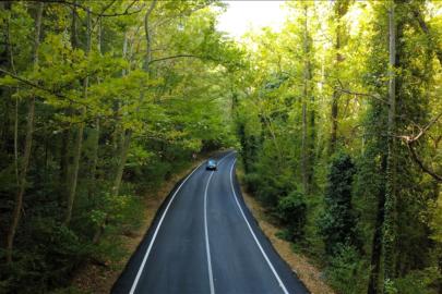Doğanın içinde gizli yol: Safranbolu'nun ağaç tüneli