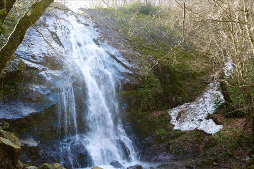Sakarya'da doğaseverlerin uğrak noktası: Çam Dağı