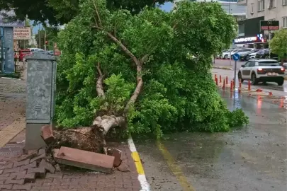 Antalya&apos;da Sağanak ve Dolu Hayatı Olumsuz Etkiledi