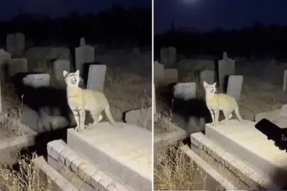 Yapay zekanın geldiği son nokta: Binlerce kişi gerçek sanıp paylaştı