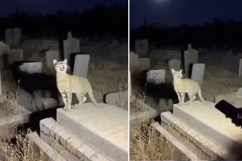 Yapay zekanın geldiği son nokta: Binlerce kişi gerçek sanıp paylaştı