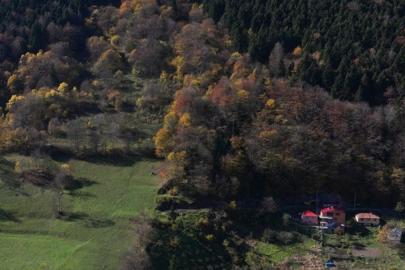 Hamsiköy sonbaharda renk cümbüşüne büründü