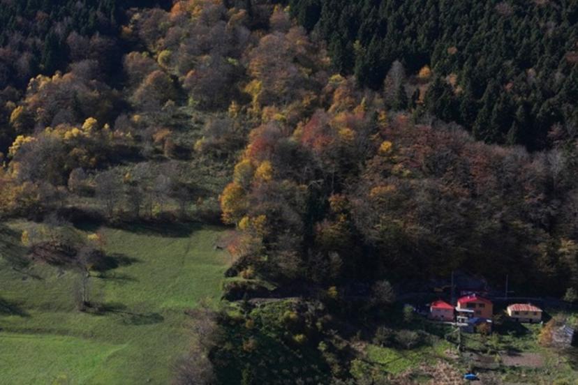 Hamsiköy sonbaharda renk cümbüşüne büründü