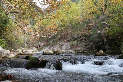 Karanlıkdere Kanyonu’nda sonbaharın son renkleri
